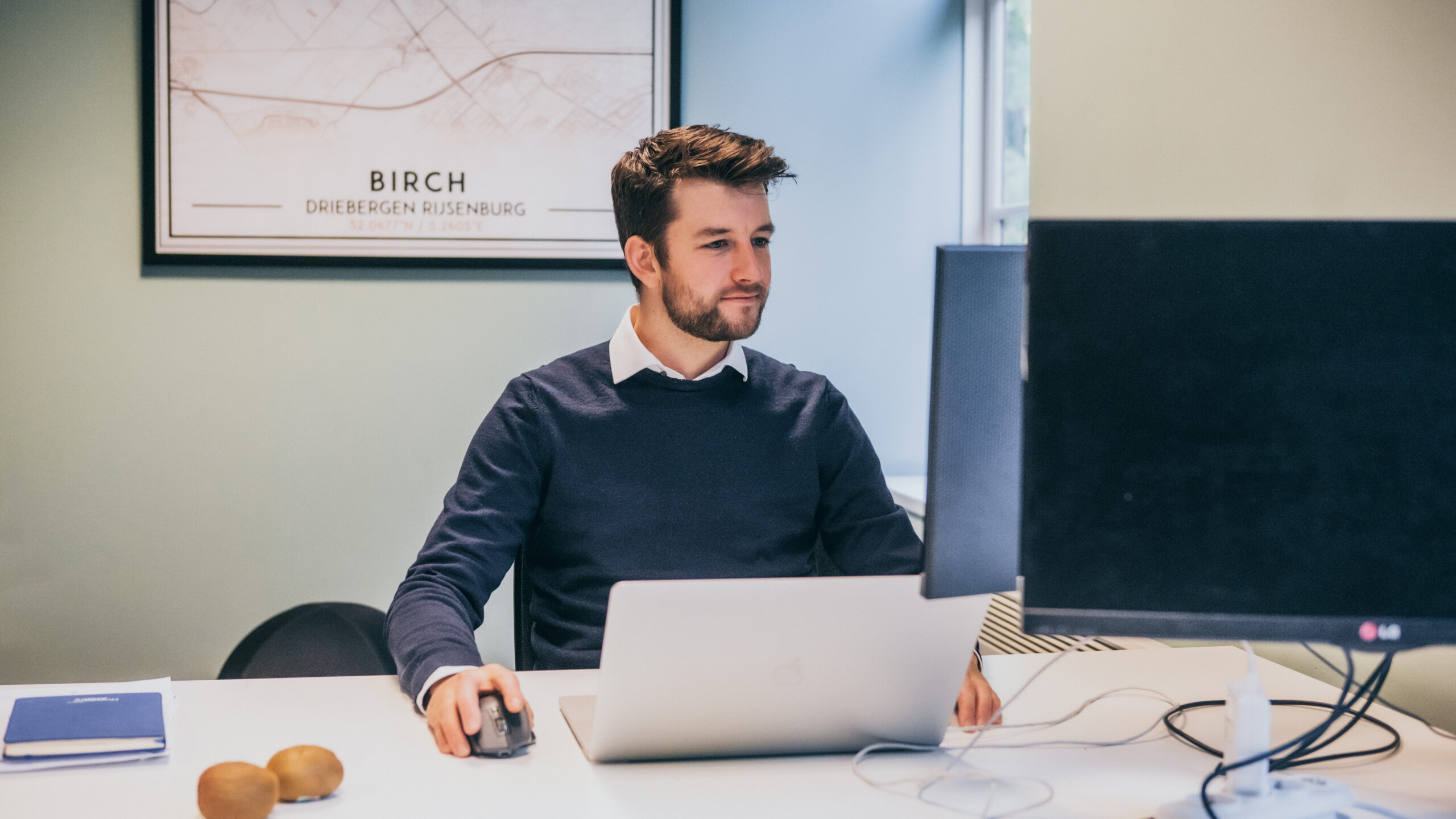 Webinar Birch Regio inzichten