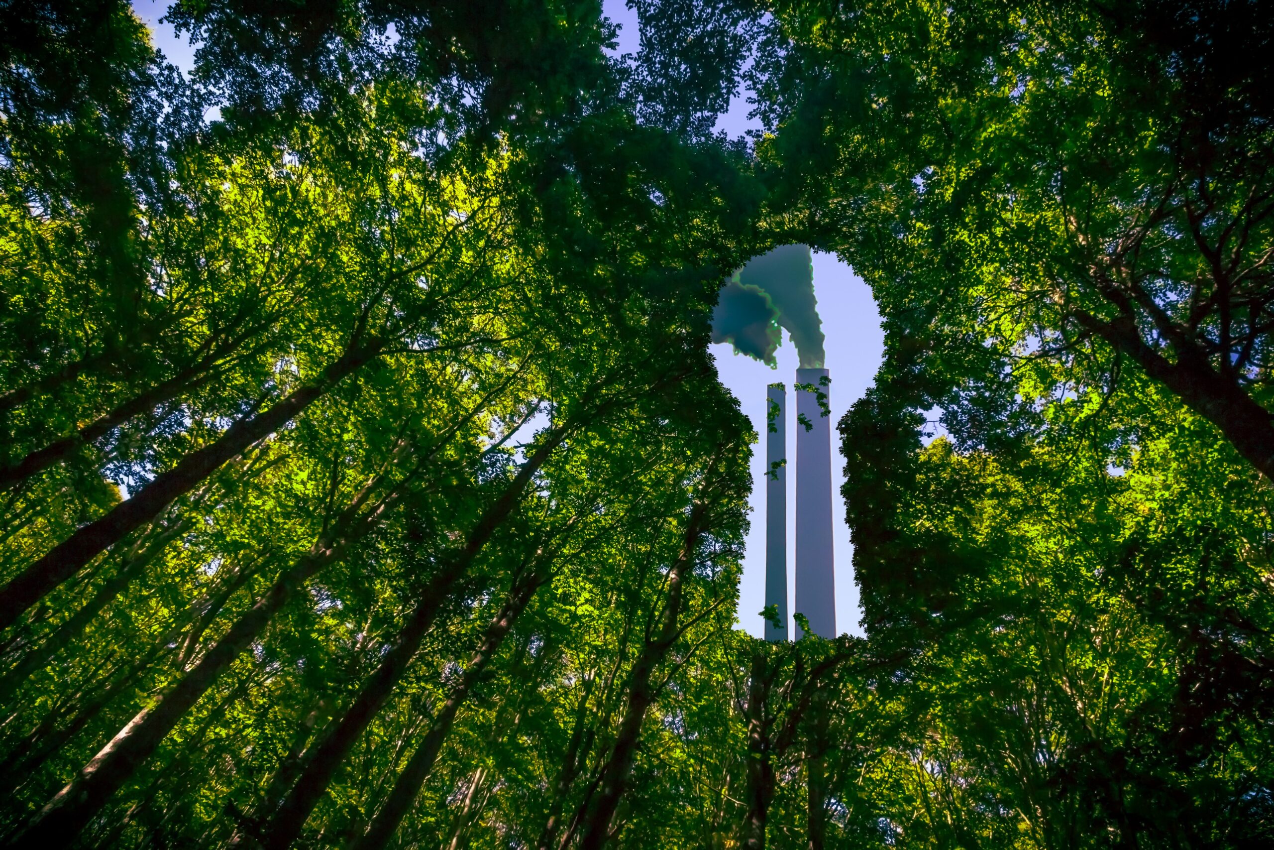 Boslandschap met op de achtergrond industriële schoorstenen als symbool voor de balans tussen economie, energie en duurzaamheid.