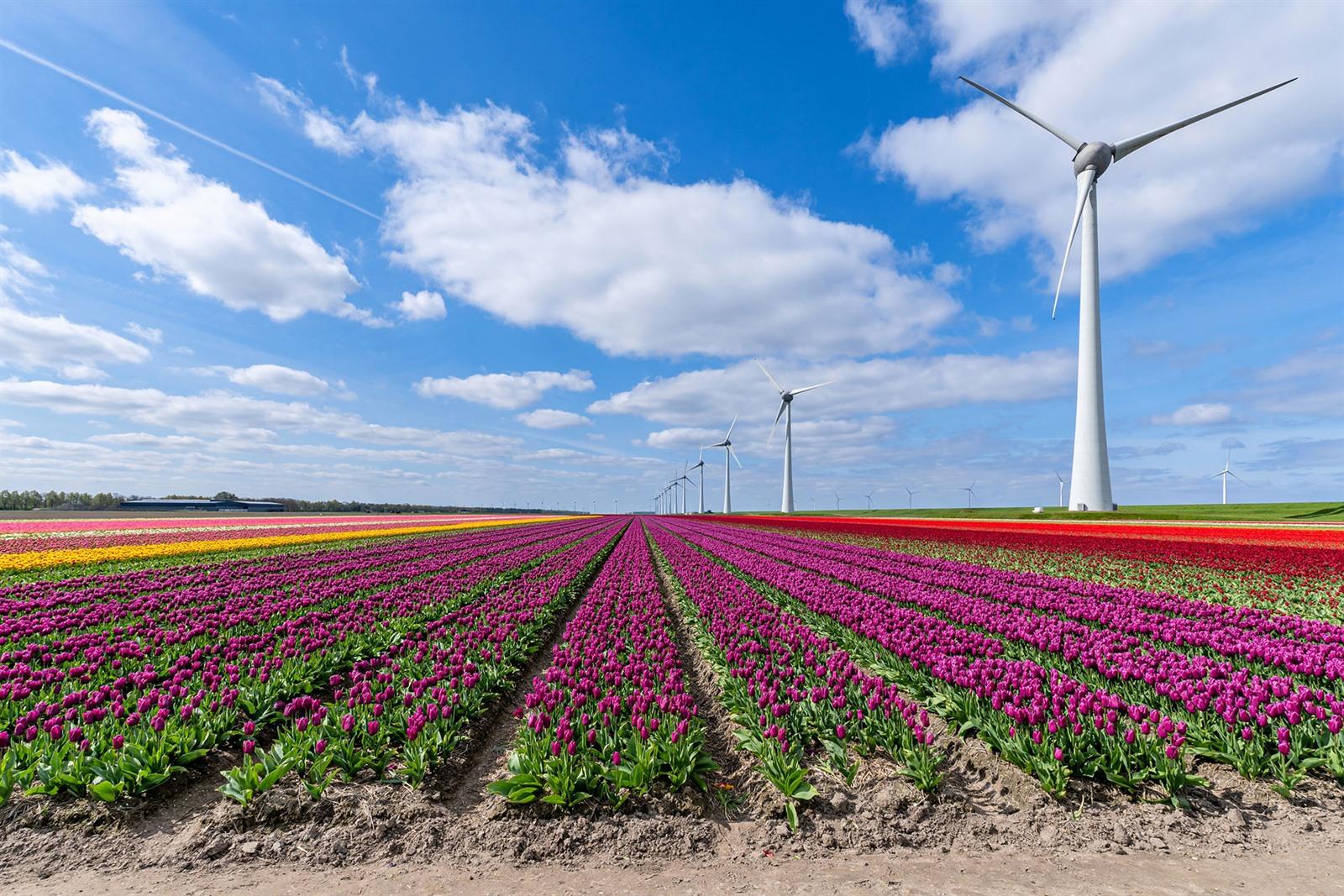 Kapitaalmarktonderzoek Flevoland naar de Provinciale Staten 